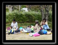 005 Osaka le chateau